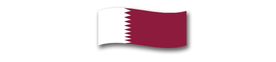 Qatar 0 Euro Souvenir Banknotes