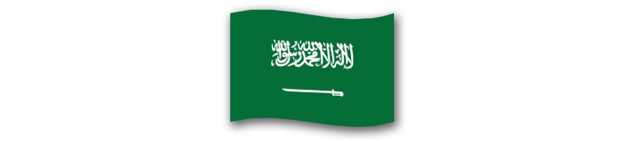 Saudi Arabia 0 Euro Souvenir Banknotes
