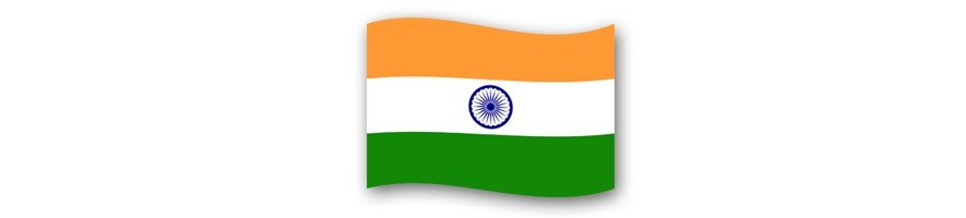 India 0 Euro Souvenir Banknotes