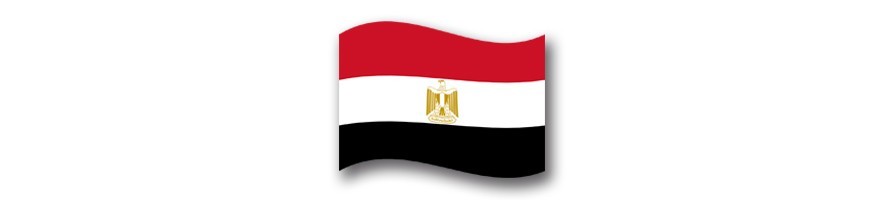 Egypt 0 Euro Souvenir Banknotes